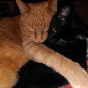 Meet your Posher, Angie